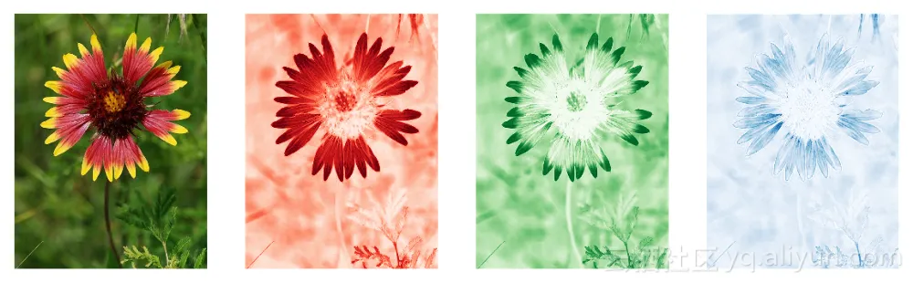 0039df2a734fd1698226e11184dc1d9b6990cf67