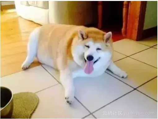 2260661c02e86b7e51e23ff320093d2dc63a0ba5