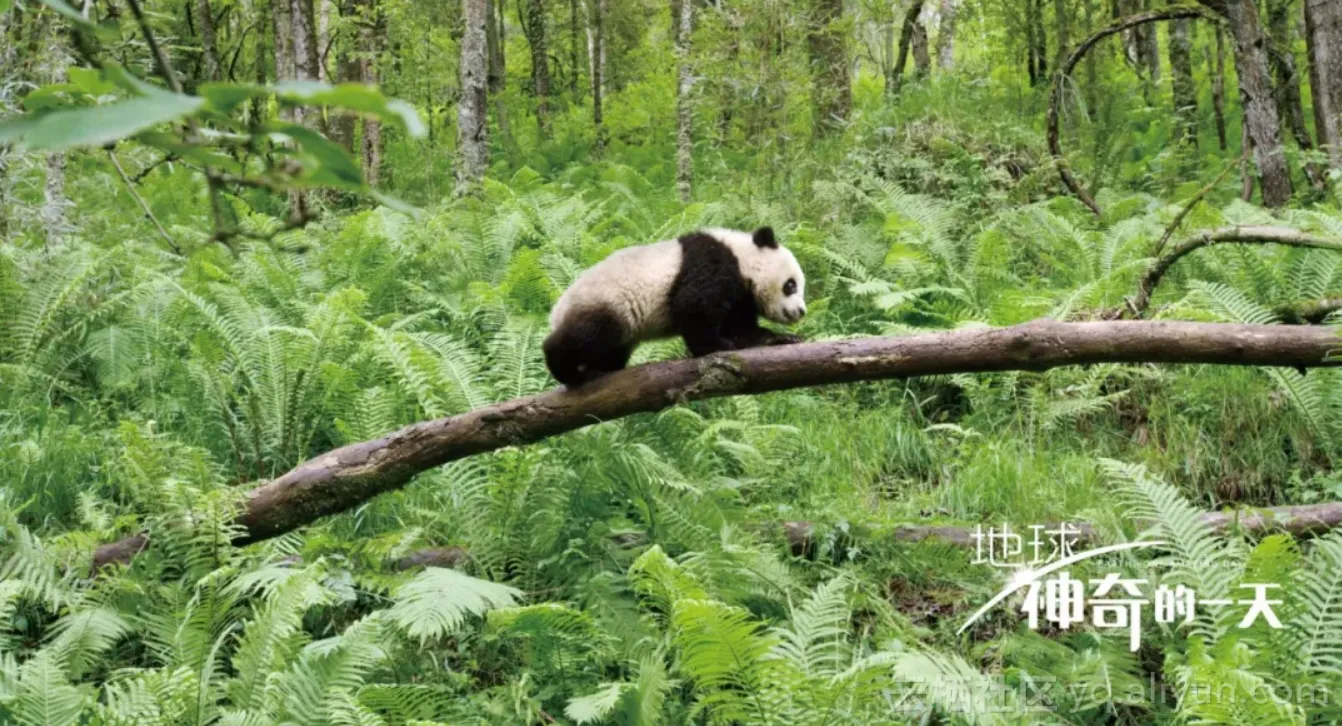 25b549d17a23cad5739b4c1e294f9475dfdef92e