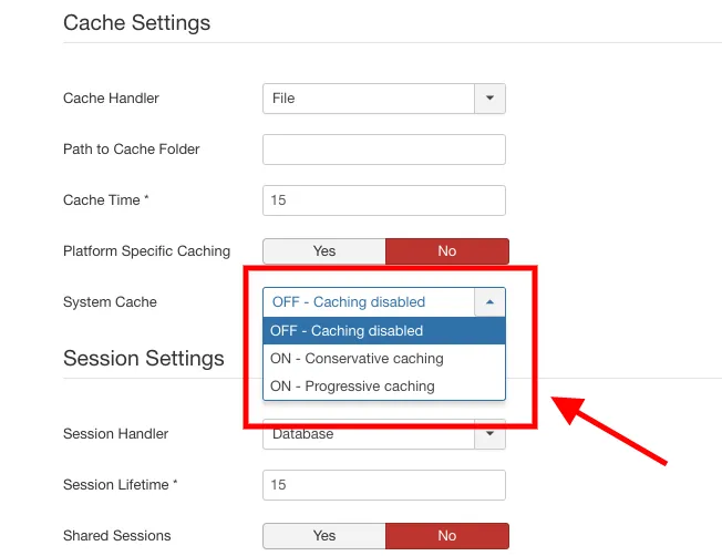 joomla_cache_options_3