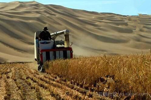 物联网模组再造奇迹，你相信沙漠里也能种水稻吗？