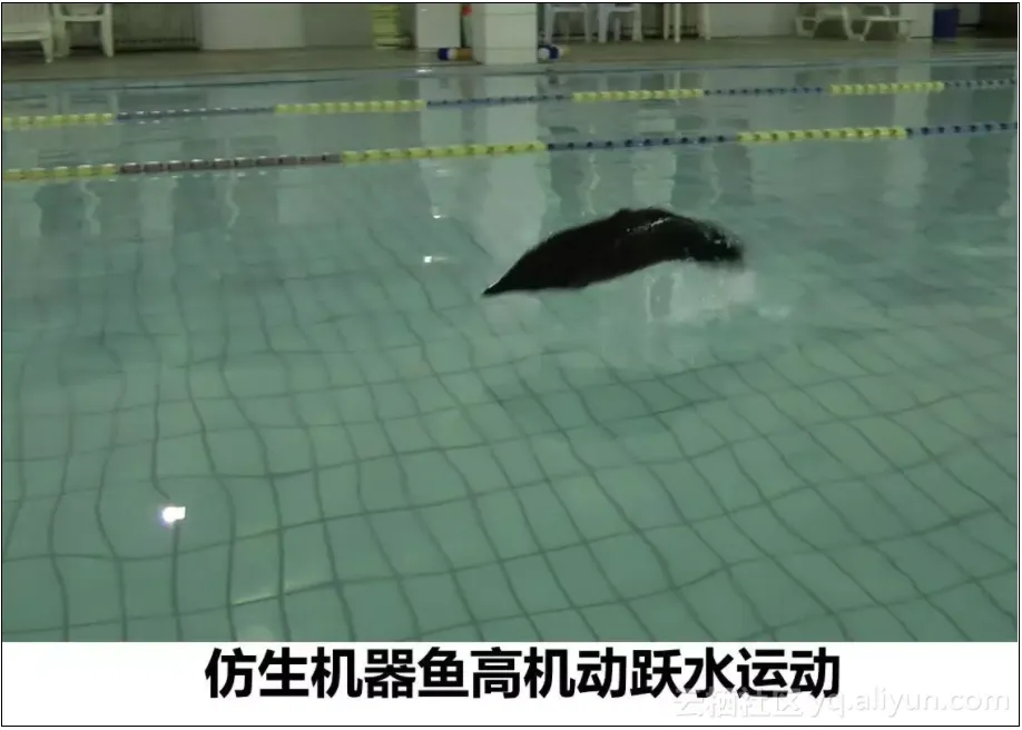 3670a9481e6d9c9ad9d17ef6d0ffbc88b53577e6