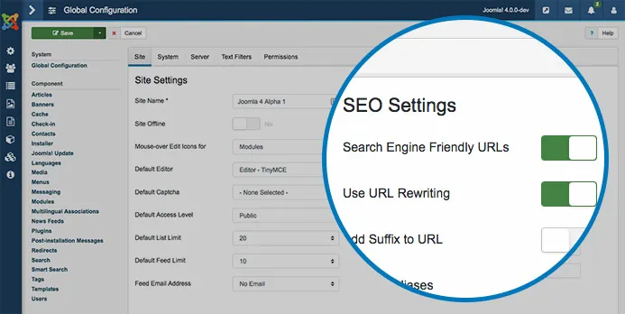 enable_seo_settings