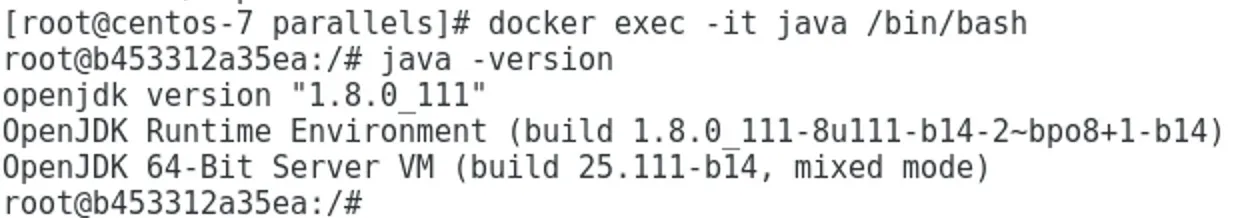 docker_exec