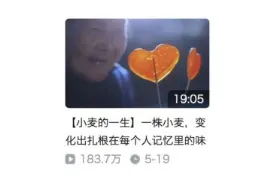 7798FCA9_BF3D_4ced_BB14_D3780C7A3CFC 7798FCA9_BF3D_4ced_BB14_D3780C7A3CFC