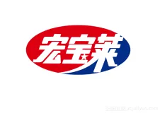 宏宝莱：快销企业的上云之路
