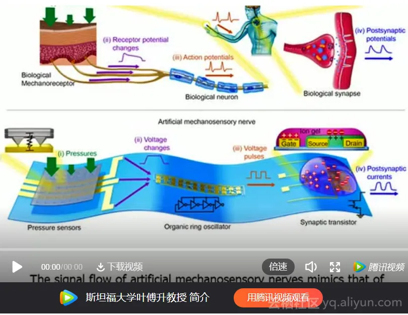 60ff83a095dd2cd3548fb3df662c69df231a9ab3