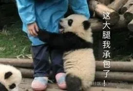 6106c10aa8be02c92b2f5c5e082ffe2fc99f52e2