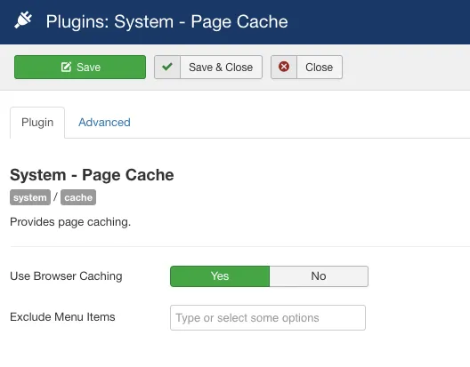 joomla_cache_options_7