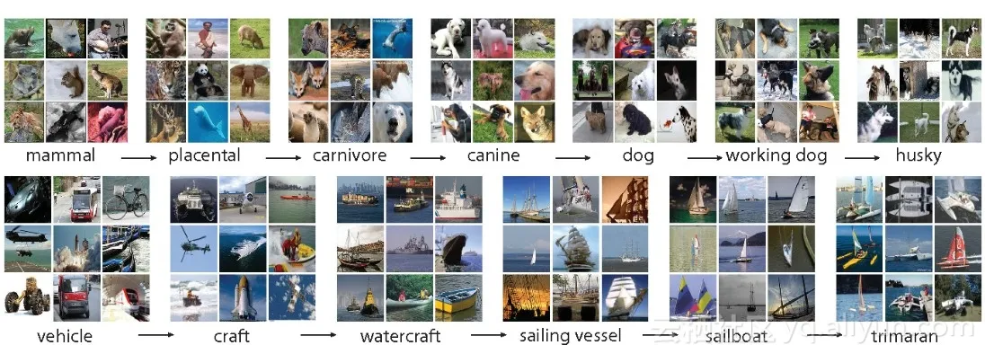 Imagenet