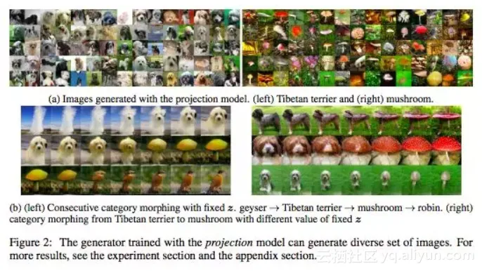 6cfb7f7ef13265fcba19021790a9517b2a6e1e22