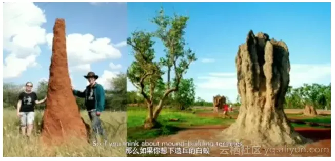 772d36764eab73f078a86b0c91fc7dc3c5699a73