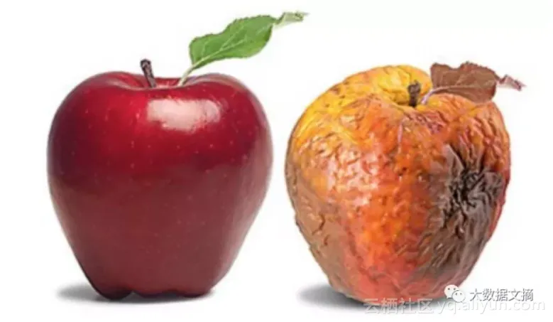 7b5dc036e4e6b7d12f49e218667d17ab1a4a4c7d