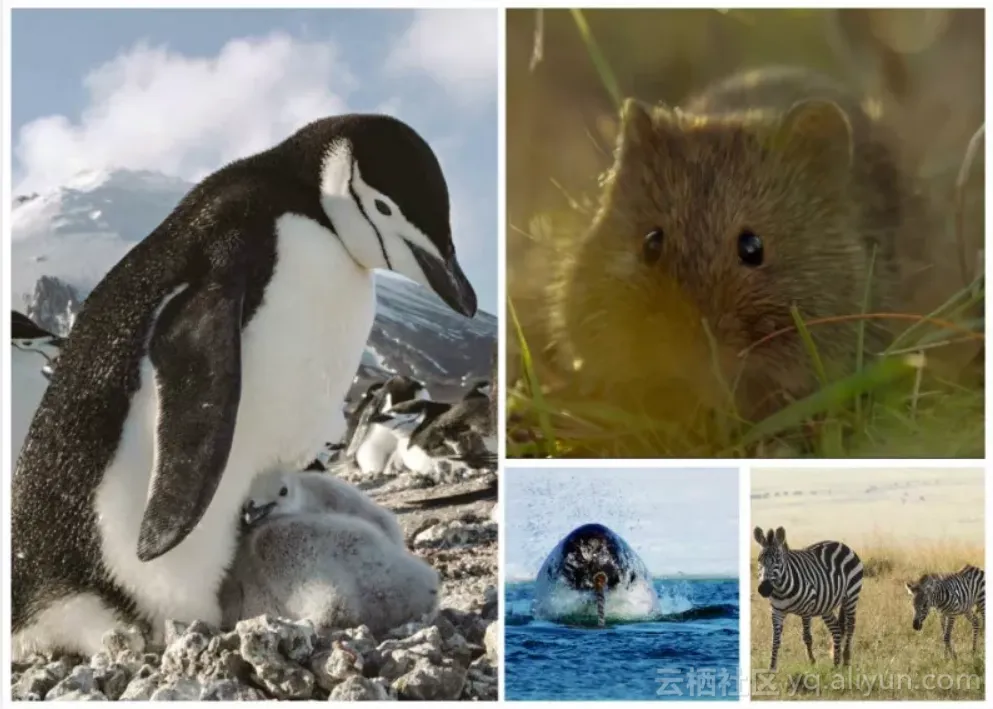 7d00ae1a242e2db171f449227a0f9804ca562eab