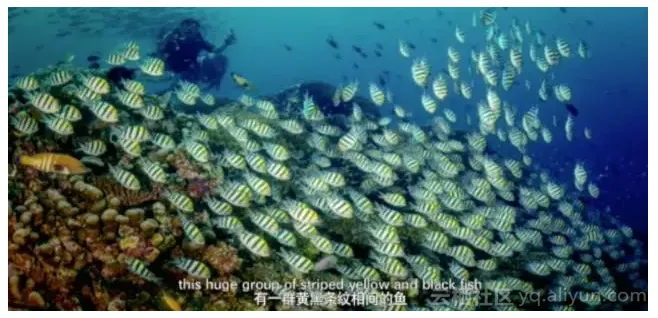 80f03994f38ee3e2bfcd541b9f38a4002662fa18