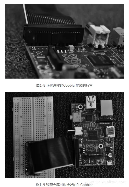 81ab47a5cbf5805ca7d87babb1317ff09a86c922