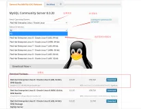 rpm安装mysql数据库