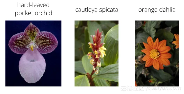 8d7dfe54d0d68e3b2bb3faba2c39439f2251b796