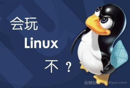 Linux 服务器建站新手教程不需要敲一行命令【新手小白篇】