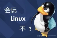 Linux 服务器建站新手教程不需要敲一行命令【小白篇】