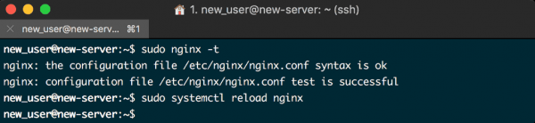 9_test_nginx_config