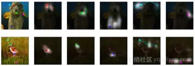 9d0ee9214a809dd2b20c6a3316765d0fe3d4e326