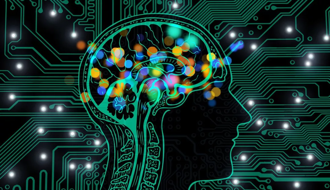 重建脑科学与AI之间的桥梁，人工神经网络比机器学习更优吗？