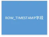 只有ROW_TIMESTAMP字段