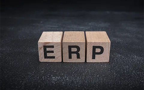 480_ERP_ERP_