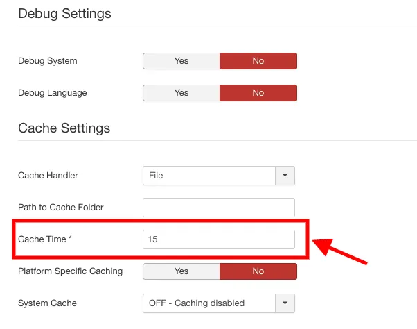 joomla_cache_options_5