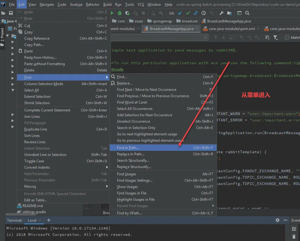 IntelliJ_search_06