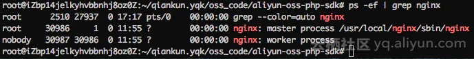 nginx