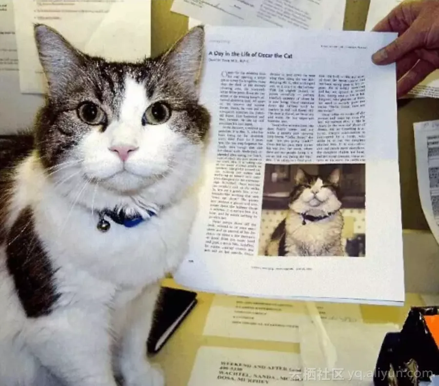 c4eafa480f771610ca517ecbb227d4a798543d63