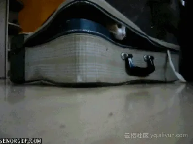 c52e0457ae045882ff73889549a7b969968dbd1c