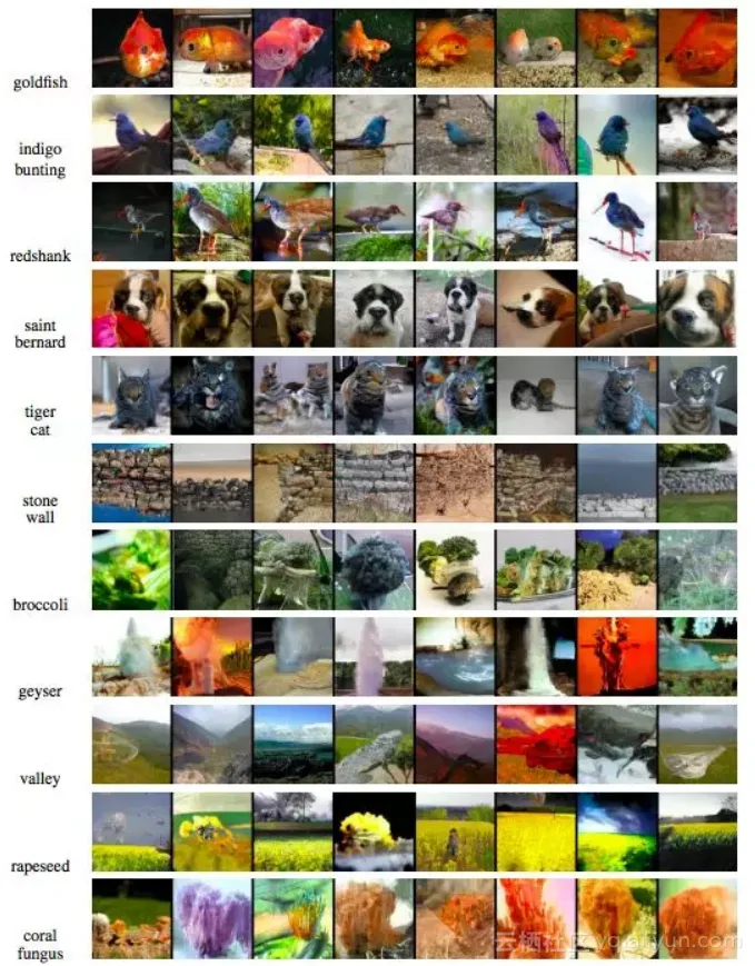 c7203e3ccca12dbb450567567dc245b33b5f85a5