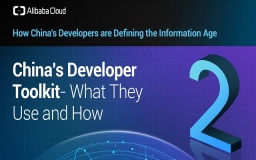 How China's Developers Are Defining The Information Age (Infographic 2)