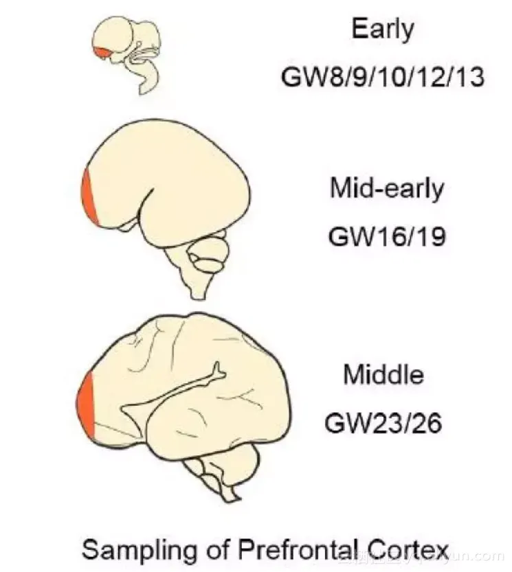 ce991151f2d3fe64330bef65a4eae9666e533945