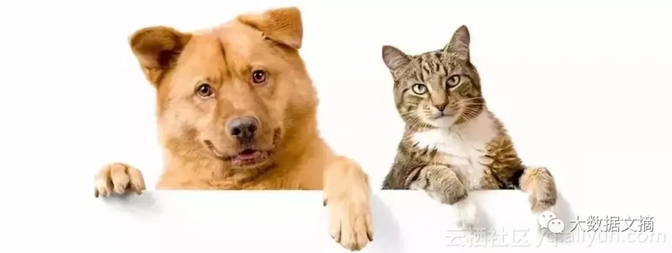 d13725d39e64d2add25758f0eb47b53277b92d4b