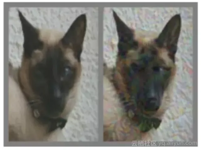 d98ce6712c4ed17fc72500c6da9e3217b9422958