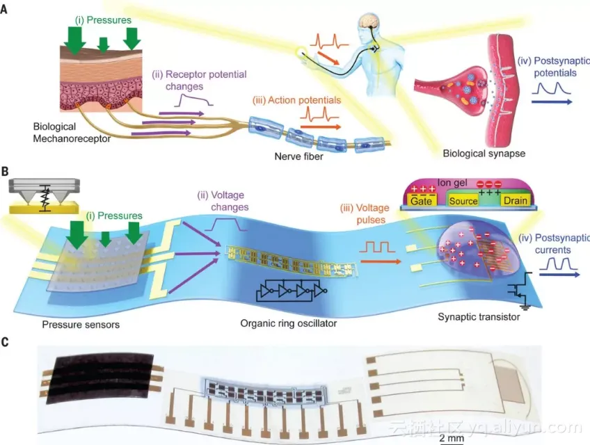 da5db9b0b1affba0182fb2bd0d9f1c96ab39dce9