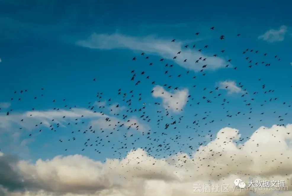 ddd823e2b760f7416a3e10b7465beda98ed4e2fc