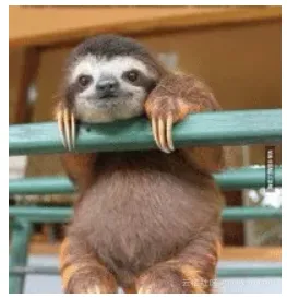 de8de7366b6f1ee19757955dddd14b9ada187162