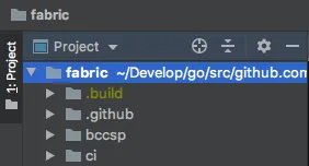 hyperledger fabric 源码调试(orderer)环境搭建教程