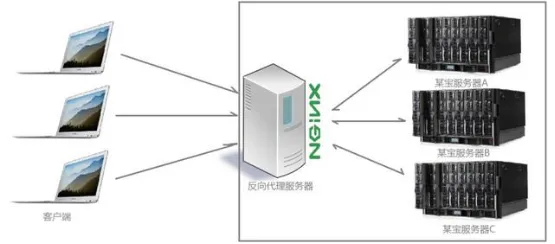 _Nginx2046