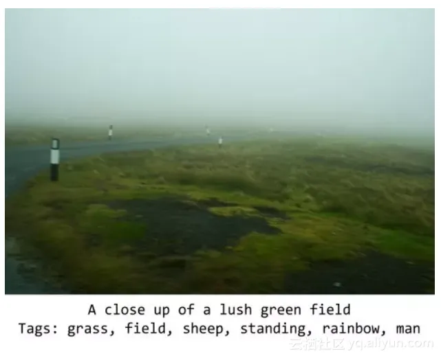 e53c56cb07bafce070c8c8b90ab6429739b8eeb6