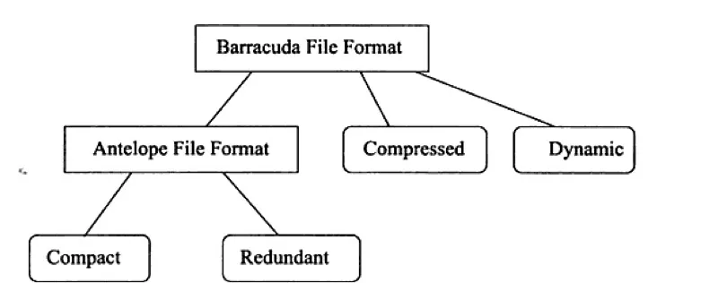 row_file_format