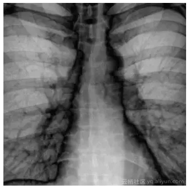 ee3f88549621f24ad8da7bd04ca0c4120777c435