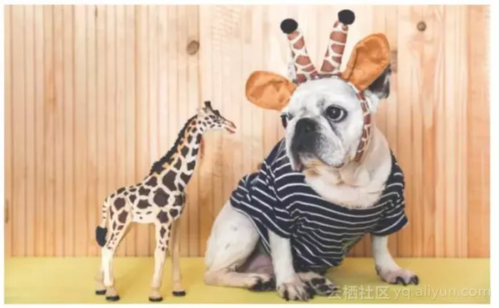 ef15353d867e2e3bc2d4f0ede3dc6bb002db7930