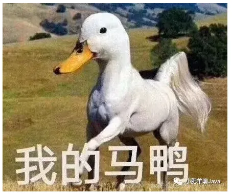 f59ecf32c31c1f1d89db0d067478bfeb6c41c61e