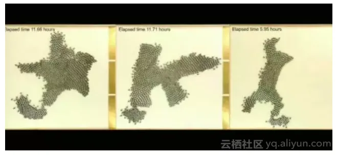 f6818d01219c593004db8e3d2892fb8186241452